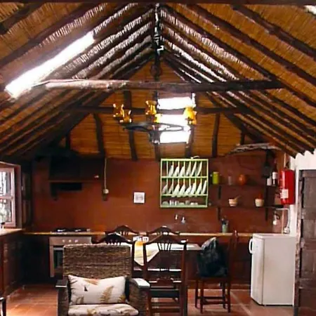 Holiday Icod I Ferienhaus Santa Cruz de Tenerife